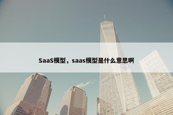 SaaS模型，saas模型是什么意思啊