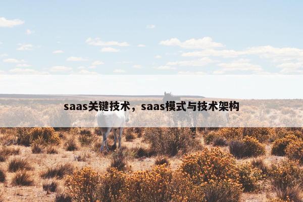 saas关键技术，saas模式与技术架构