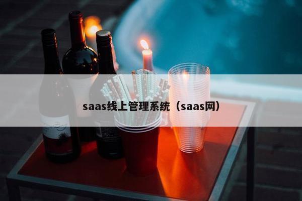 saas线上管理系统（saas网）