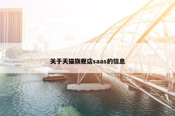 关于天猫旗舰店saas的信息