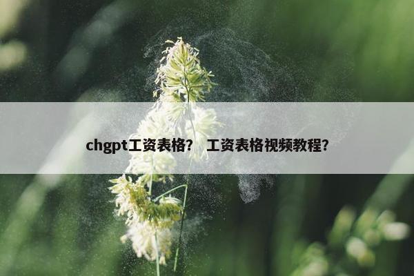 chgpt工资表格？ 工资表格视频教程？