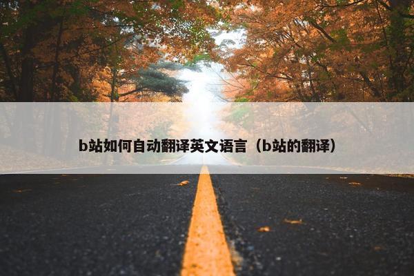 b站如何自动翻译英文语言（b站的翻译）