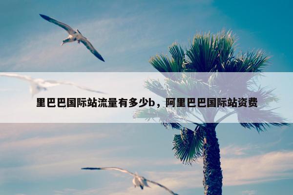 里巴巴国际站流量有多少b，阿里巴巴国际站资费