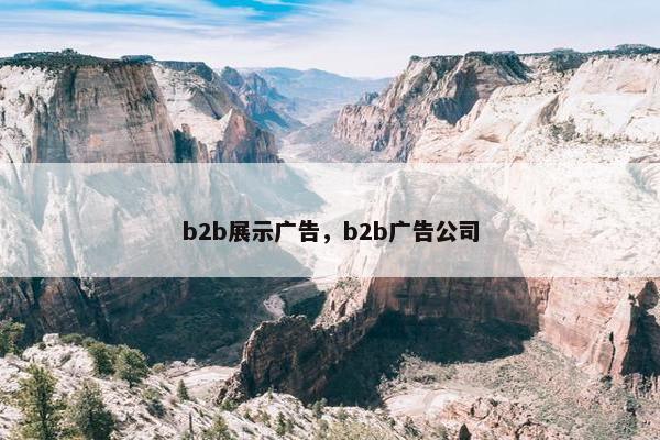 b2b展示广告，b2b广告公司