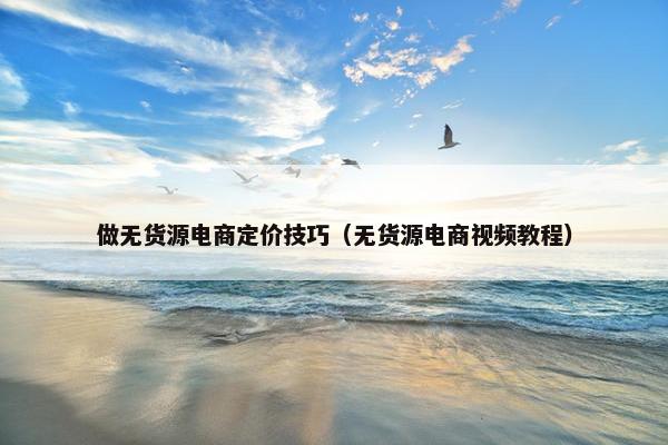 做无货源电商定价技巧（无货源电商视频教程）