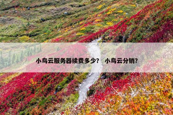 小鸟云服务器续费多少？ 小鸟云分销？