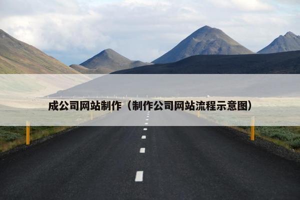 成公司网站制作（制作公司网站流程示意图）