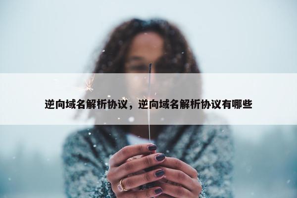 逆向域名解析协议，逆向域名解析协议有哪些