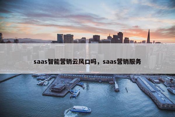 saas智能营销云风口吗，saas营销服务