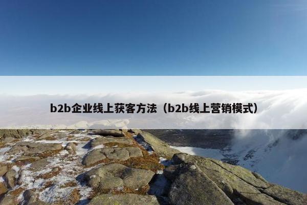 b2b企业线上获客方法（b2b线上营销模式）