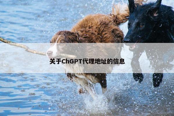 关于ChGPT代理地址的信息