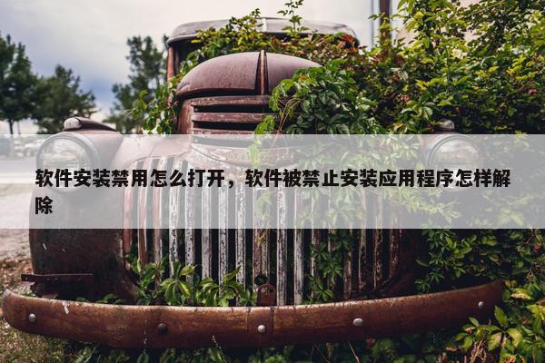 软件安装禁用怎么打开，软件被禁止安装应用程序怎样解除