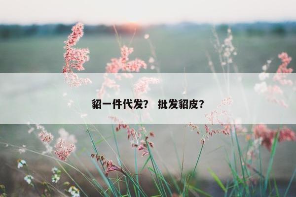 貂一件代发？ 批发貂皮？