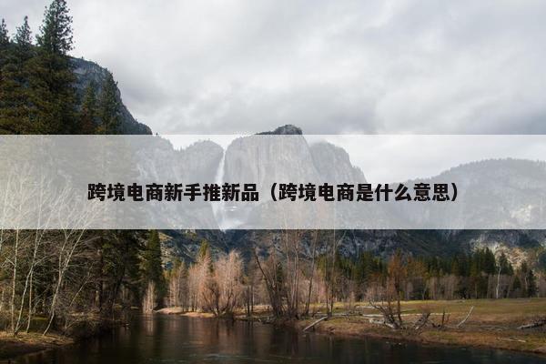 跨境电商新手推新品（跨境电商是什么意思）