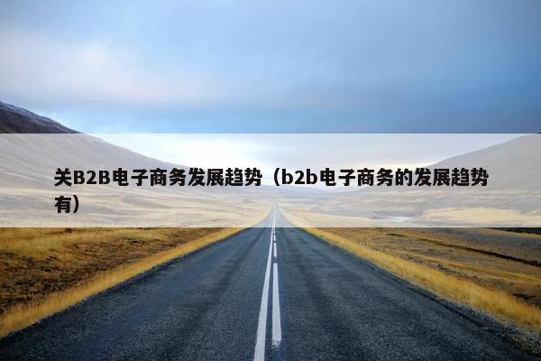 关B2B电子商务发展趋势（b2b电子商务的发展趋势有）