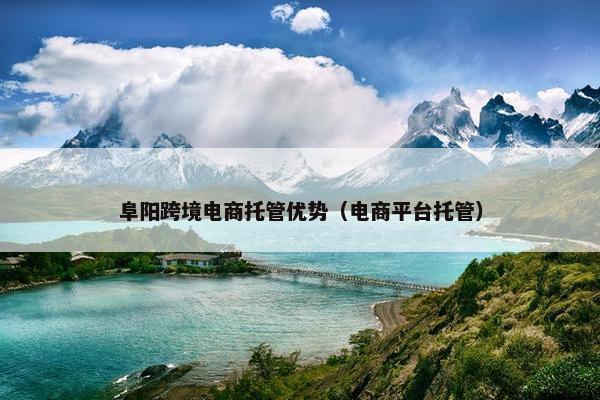 阜阳跨境电商托管优势（电商平台托管）