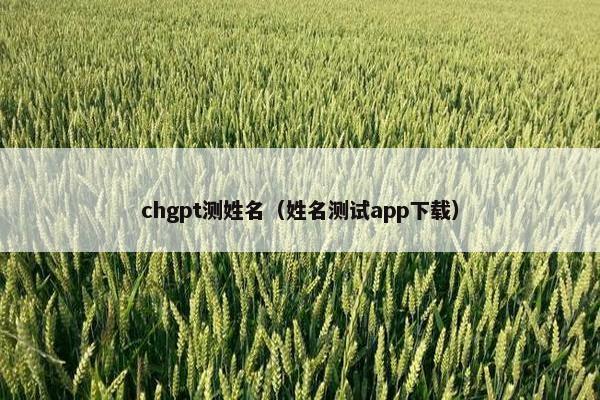 chgpt测姓名（姓名测试app下载）