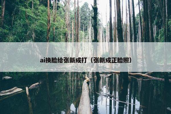 ai换脸给张新成打（张新成正脸照）