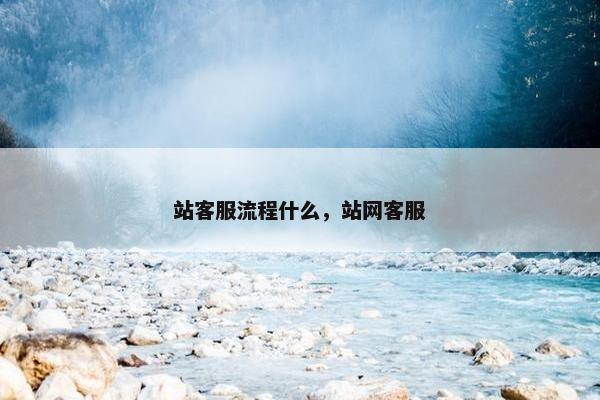 站客服流程什么，站网客服