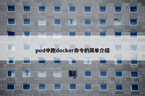 pod中跑docker命令的简单介绍