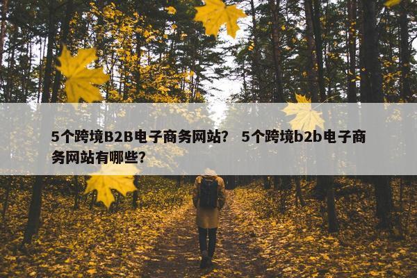 5个跨境B2B电子商务网站？ 5个跨境b2b电子商务网站有哪些？