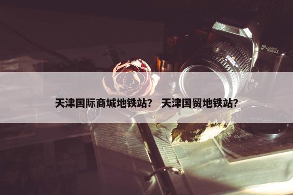 天津国际商城地铁站？ 天津国贸地铁站？