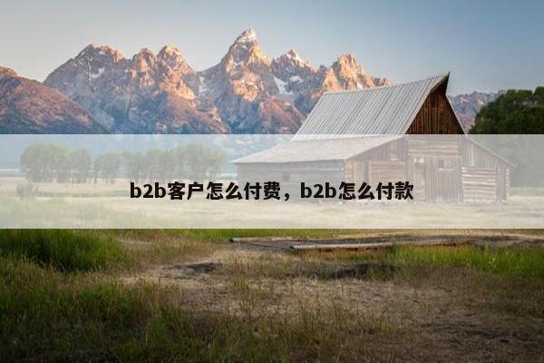 b2b客户怎么付费，b2b怎么付款