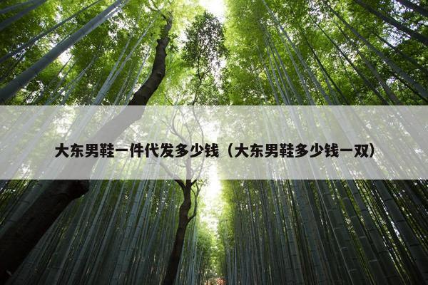 大东男鞋一件代发多少钱（大东男鞋多少钱一双）