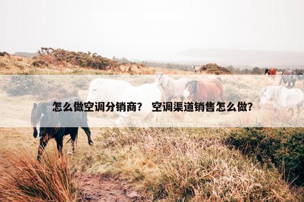 怎么做空调分销商？ 空调渠道销售怎么做？