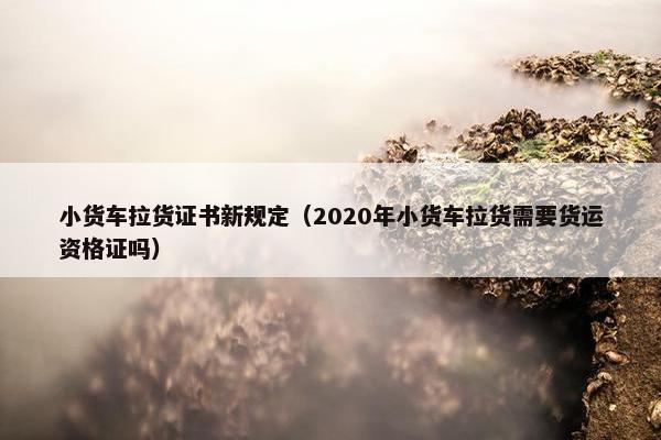 小货车拉货证书新规定（2020年小货车拉货需要货运资格证吗）