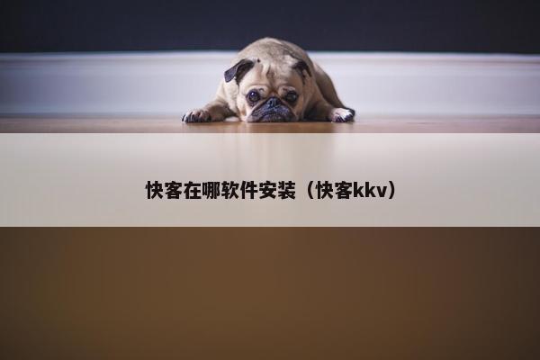 快客在哪软件安装（快客kkv）