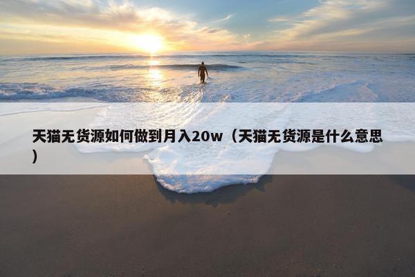 天猫无货源如何做到月入20w（天猫无货源是什么意思）
