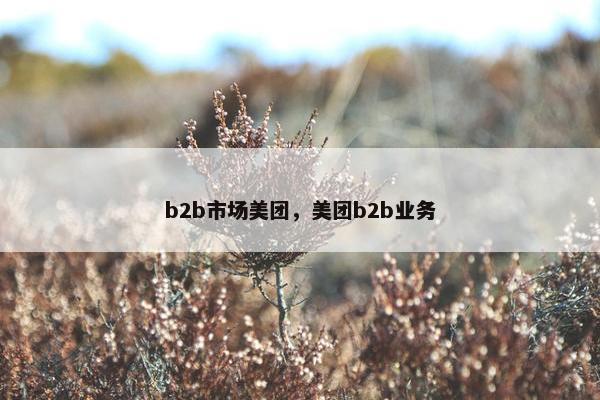 b2b市场美团，美团b2b业务