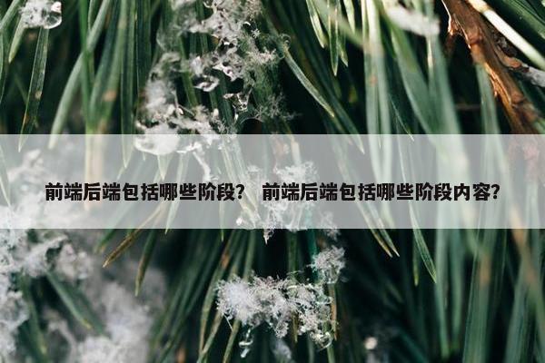 前端后端包括哪些阶段？ 前端后端包括哪些阶段内容？