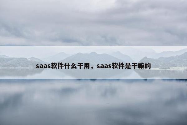 saas软件什么干用，saas软件是干嘛的