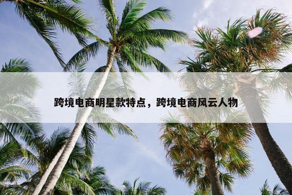 跨境电商明星款特点，跨境电商风云人物