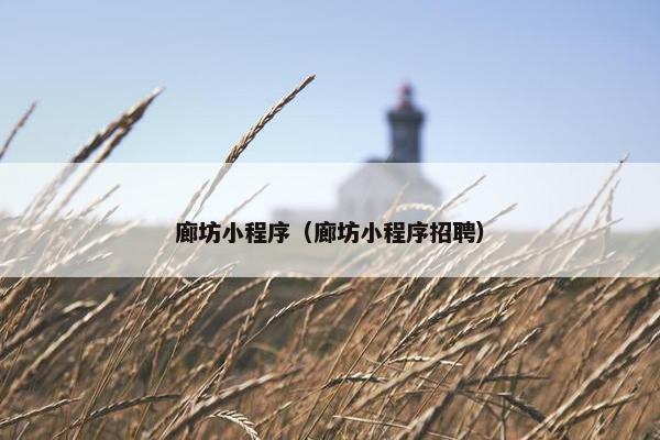 廊坊小程序（廊坊小程序招聘）