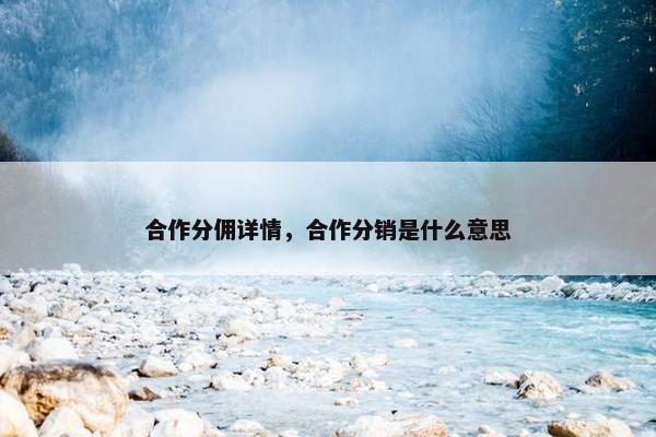 合作分佣详情，合作分销是什么意思