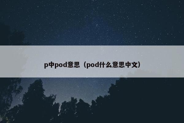 p中pod意思（pod什么意思中文）
