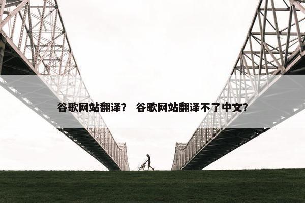 谷歌网站翻译？ 谷歌网站翻译不了中文？