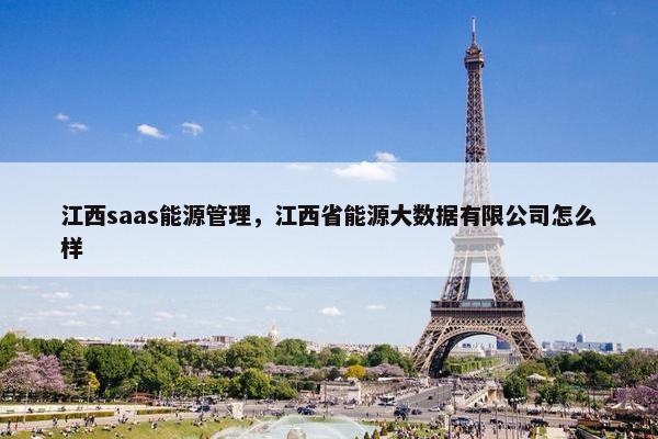 江西saas能源管理，江西省能源大数据有限公司怎么样