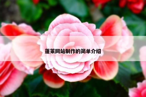 蓬莱网站制作的简单介绍