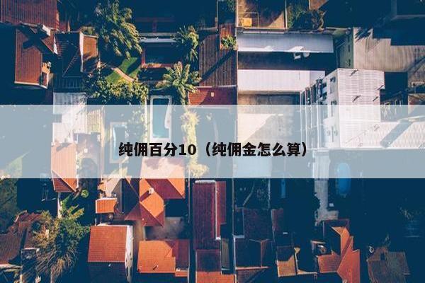 纯佣百分10（纯佣金怎么算）
