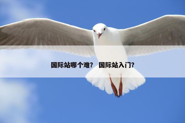 国际站哪个难？ 国际站入门？