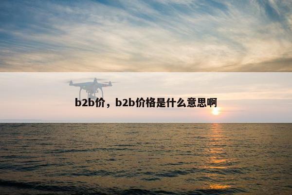 b2b价，b2b价格是什么意思啊