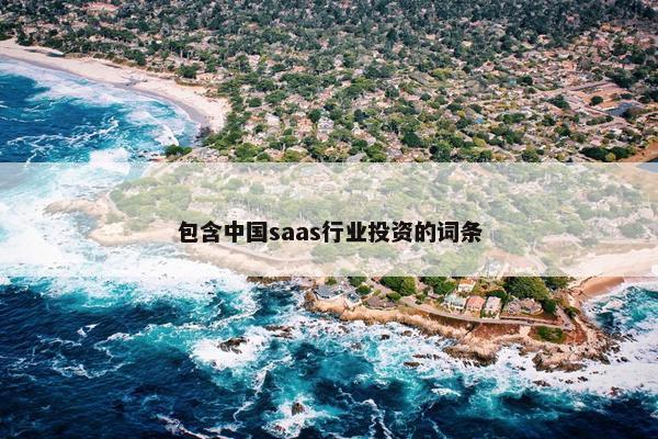 包含中国saas行业投资的词条