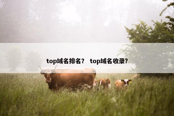 top域名排名？ top域名收录？