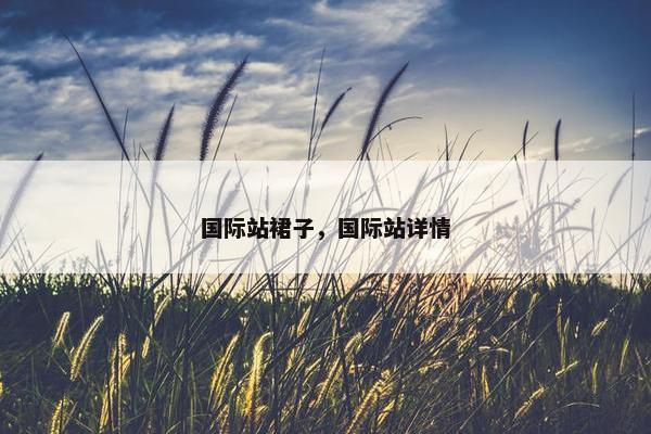 国际站裙子，国际站详情