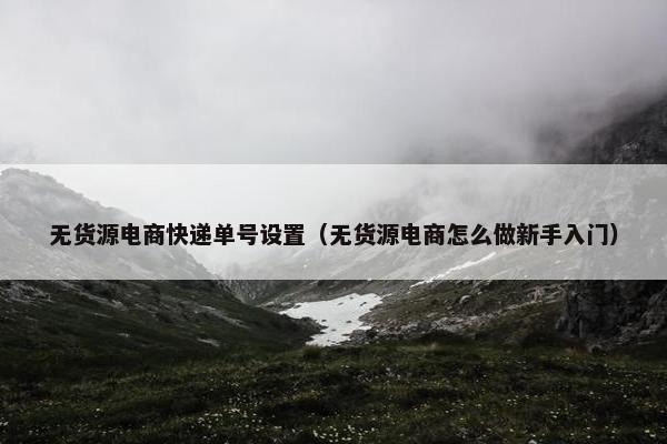 无货源电商快递单号设置（无货源电商怎么做新手入门）