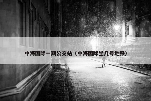 中海国际一期公交站（中海国际坐几号地铁）